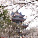 五一寻踪之旅-杨雪亭_51纪念网