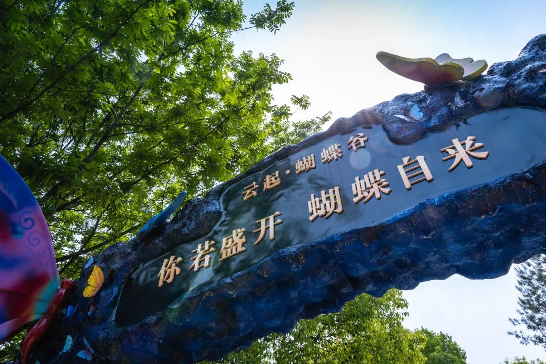 春游江淮请您来游歙县前程无限五一醉美攻略等你来