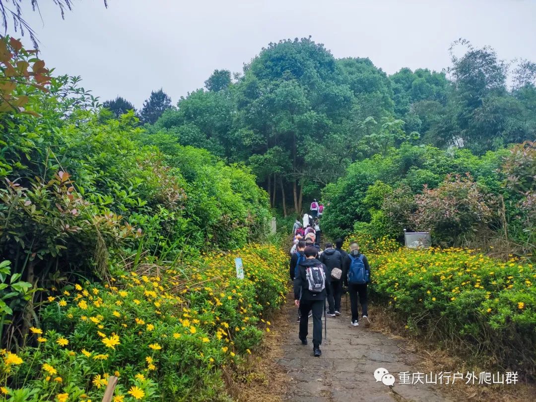 山行游记-探路重庆虎峰山:只为找到