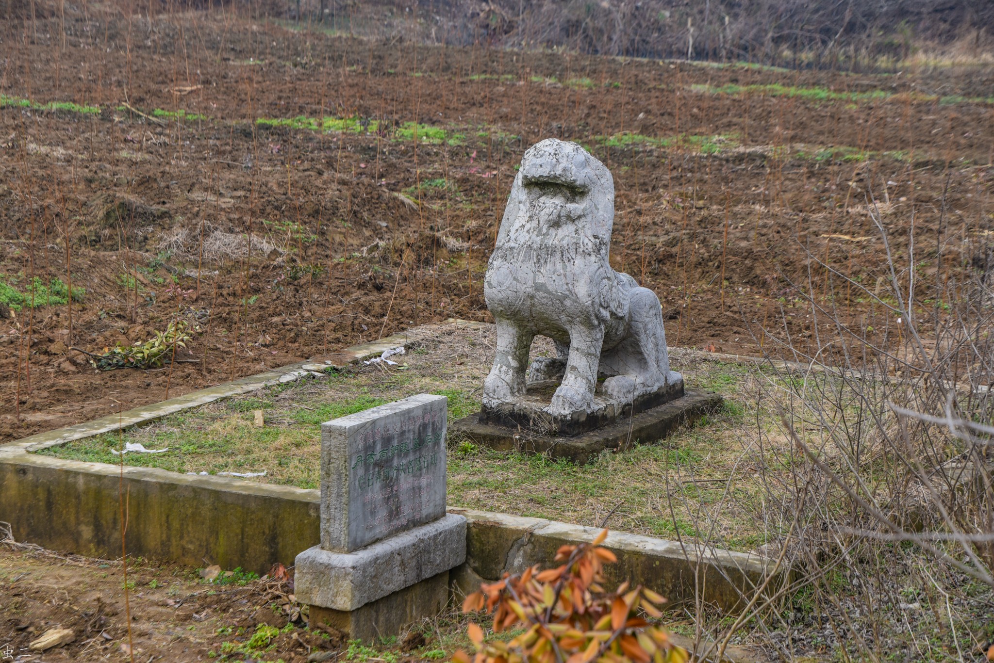 丹陽南朝陵墓石刻 爛石弄南齊失名墓石刻 國保 古墓之謎_遊記