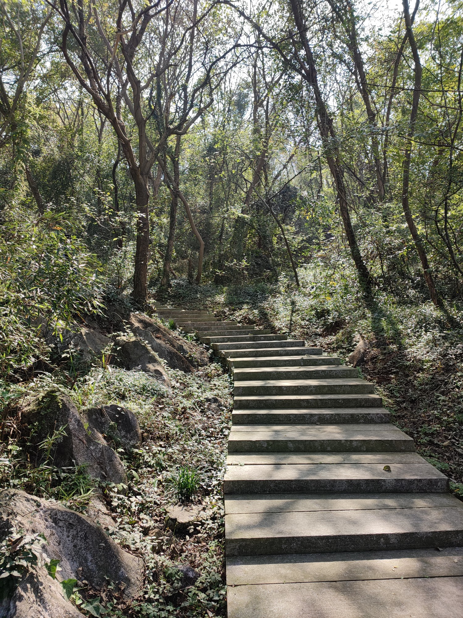 池州齊山小記