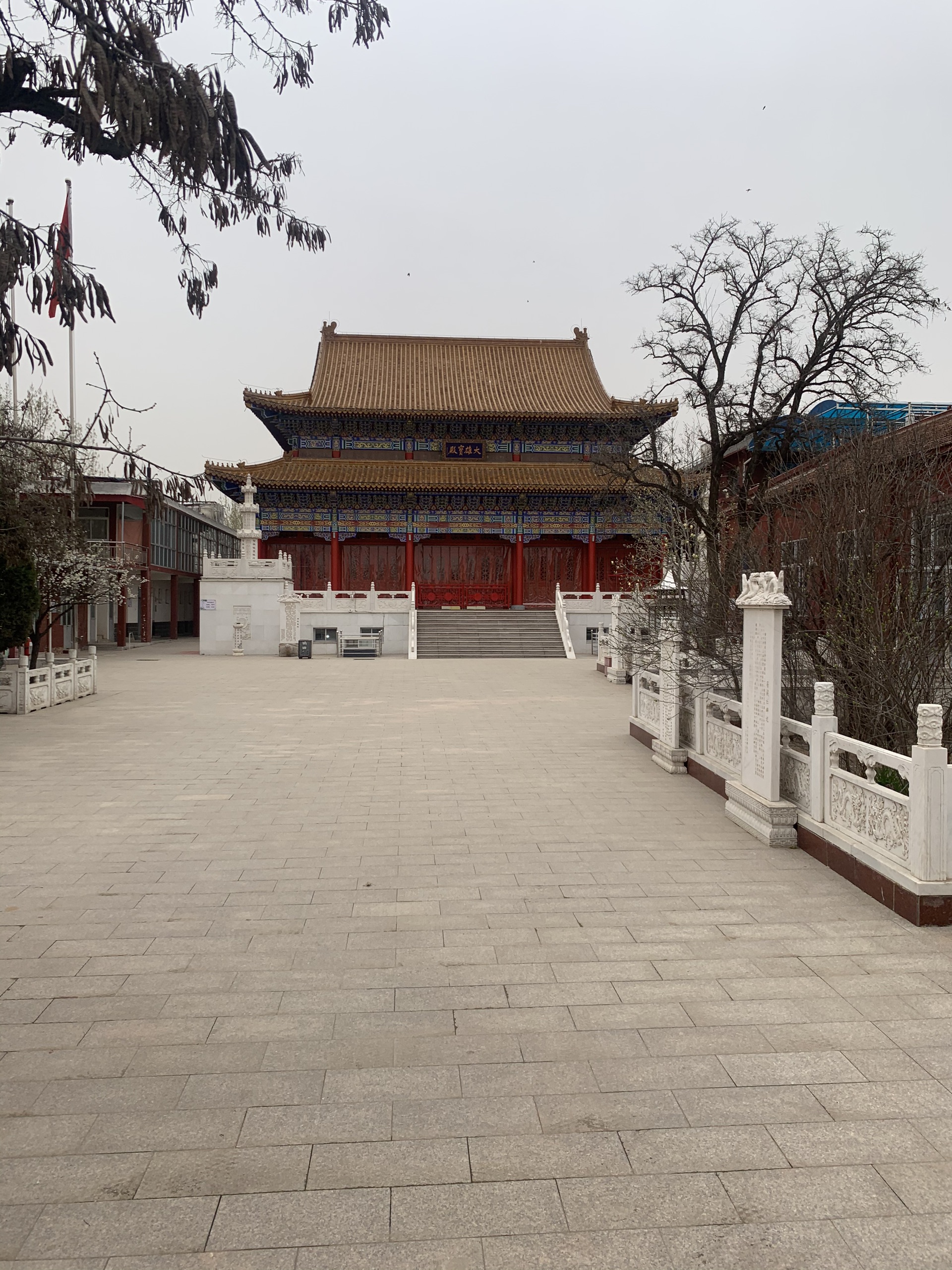 衡水大华严禅寺攻略,大华严禅寺门票_地址,大华严禅寺游览攻略 - 马