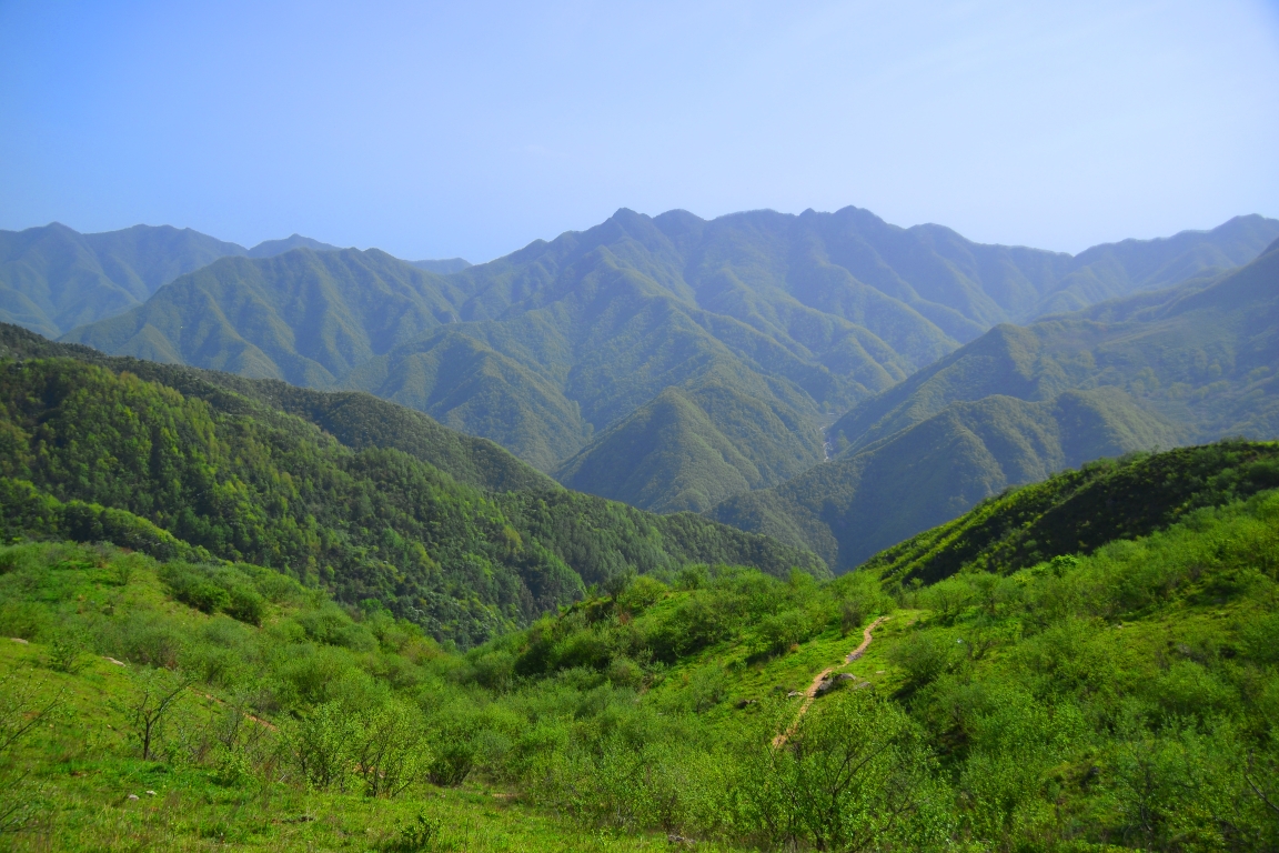 蓝田流峪寺高山草甸图片