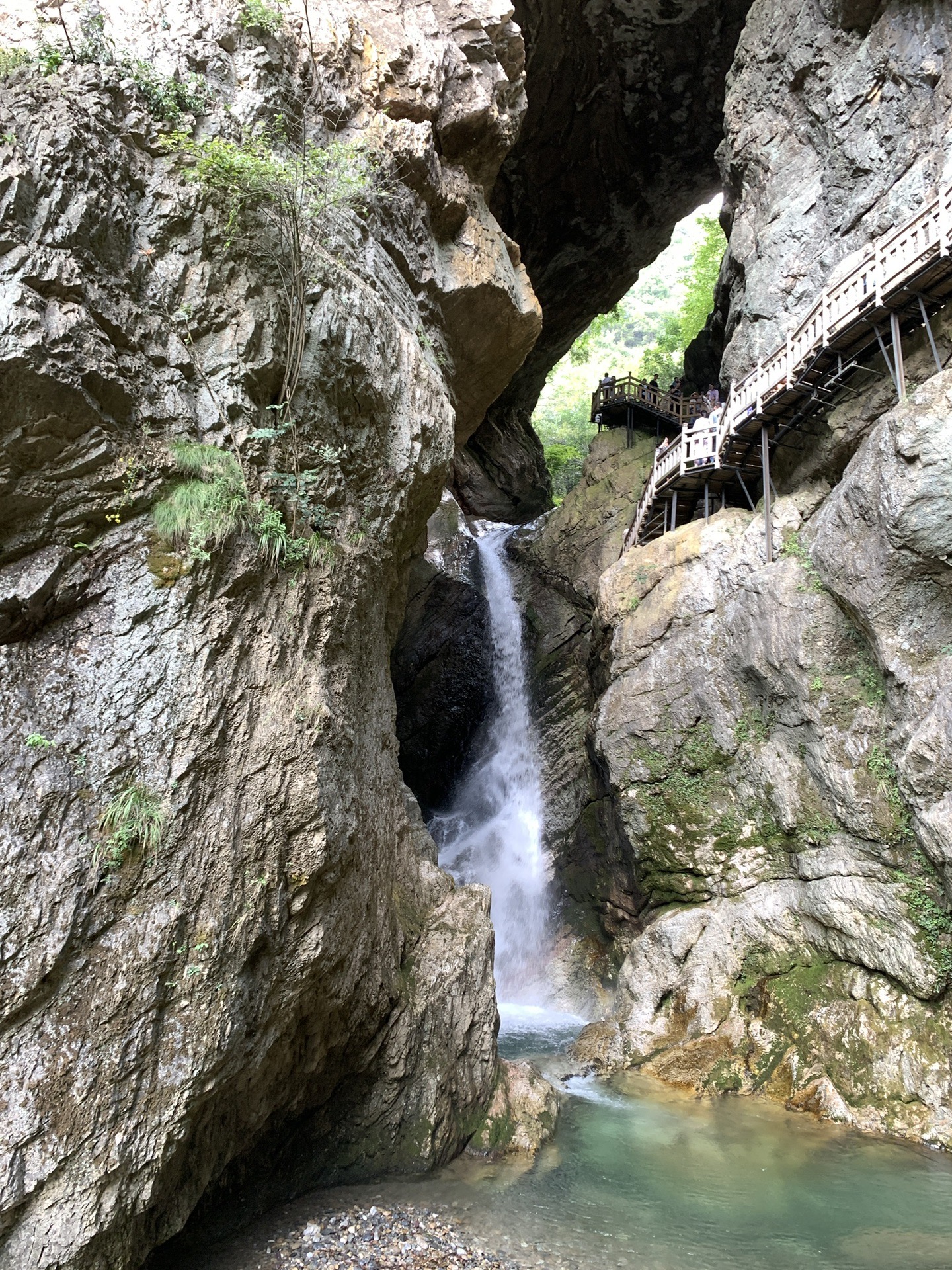 神農架四日遊,神農架旅遊攻略 - 馬蜂窩