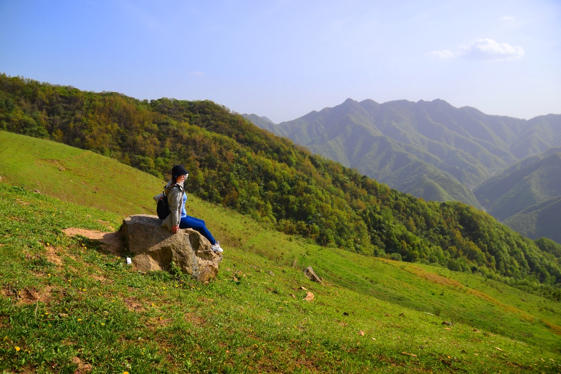 五一假期兩次打卡藍田流峪寺村高山草甸