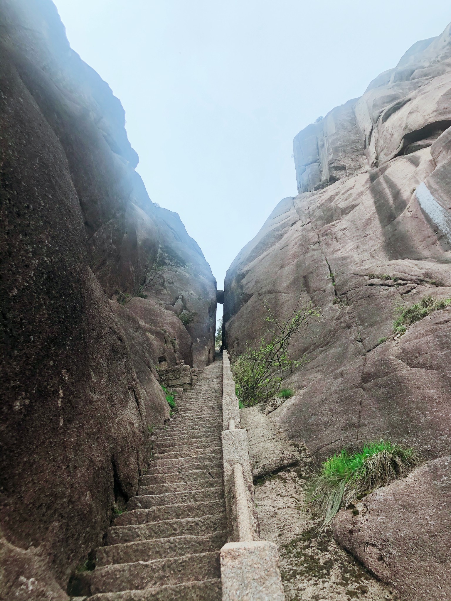 黄山-仙境之旅,黄山自助游攻略 - 马蜂窝