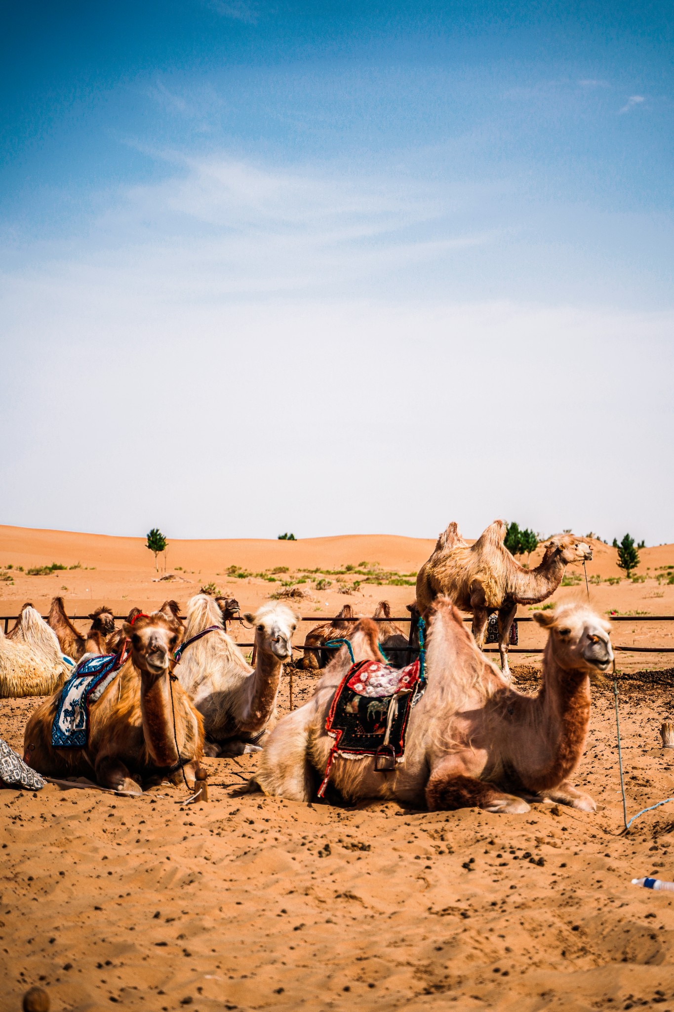 内蒙古自驾游全攻略沙漠草原火山怎么玩