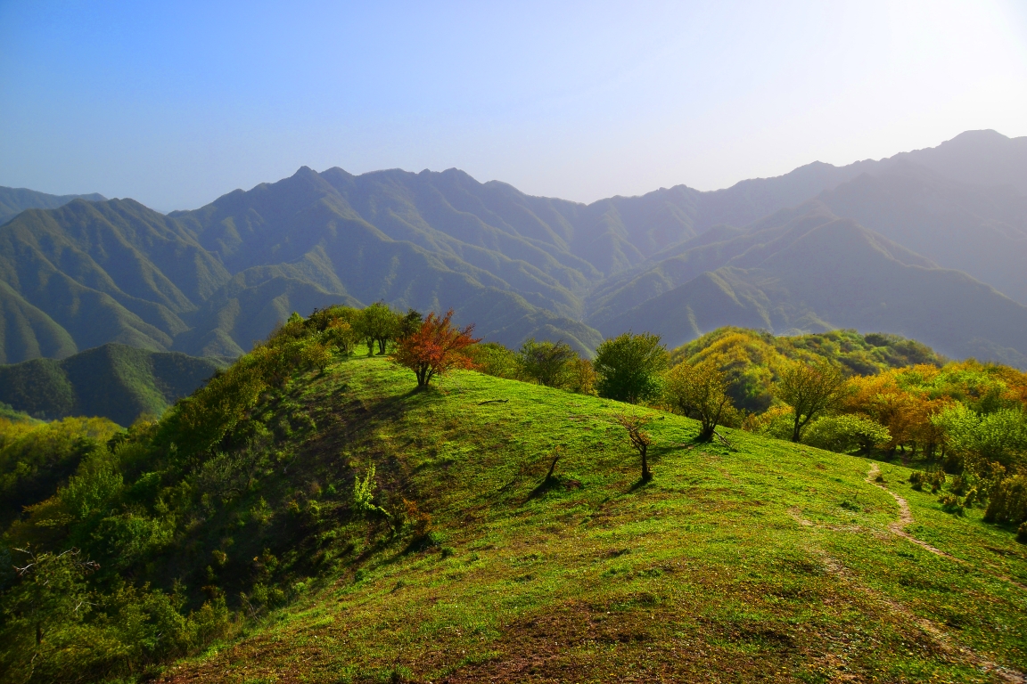 蓝田流峪寺高山草甸图片