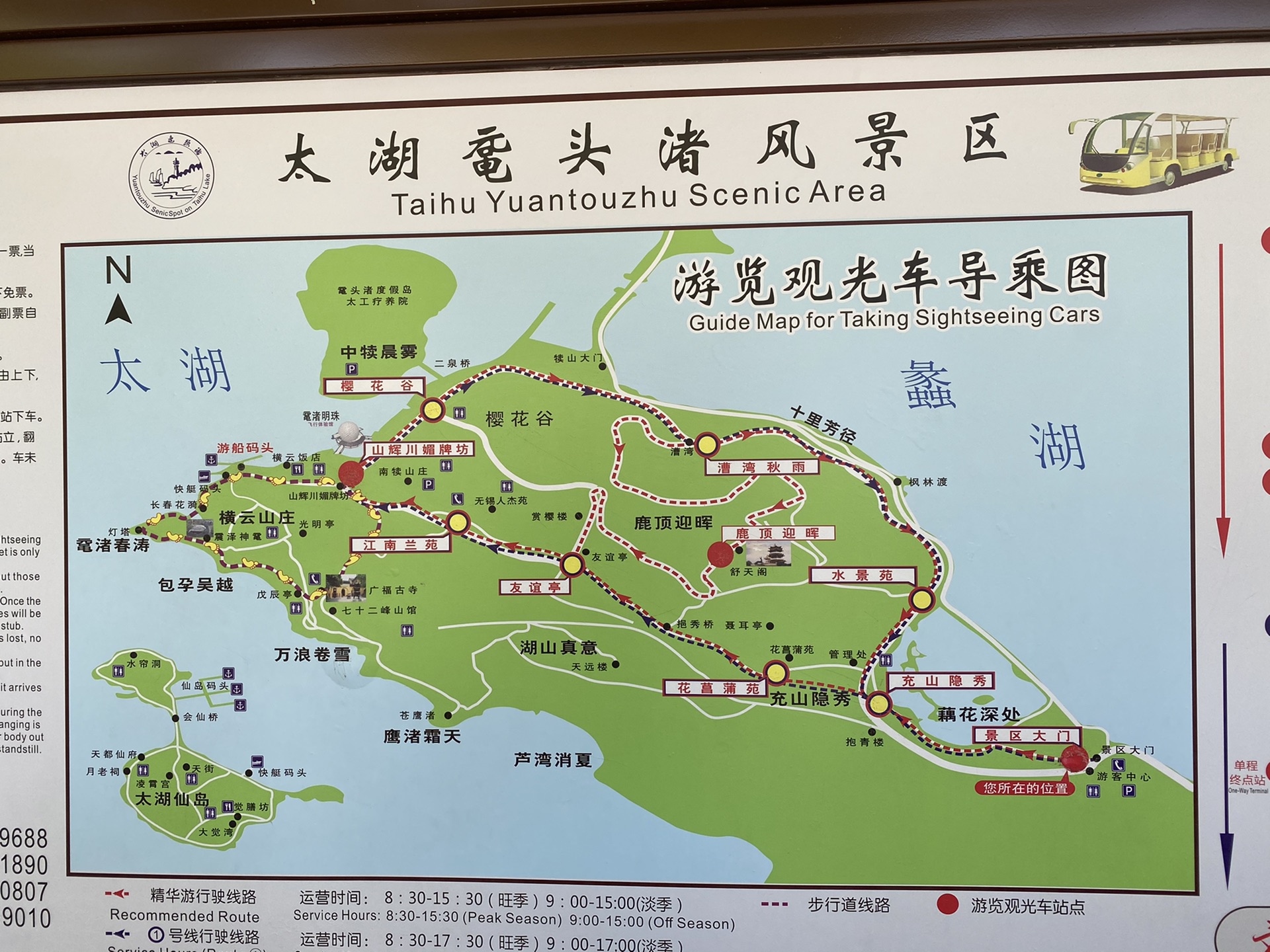 清明节后带上老妈游宜兴竹海,无锡灵山大佛,拈花湾,南长街
