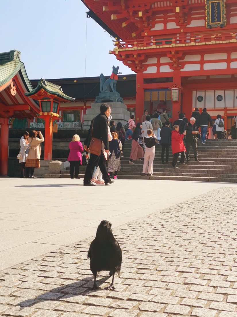 日本自助遊攻略