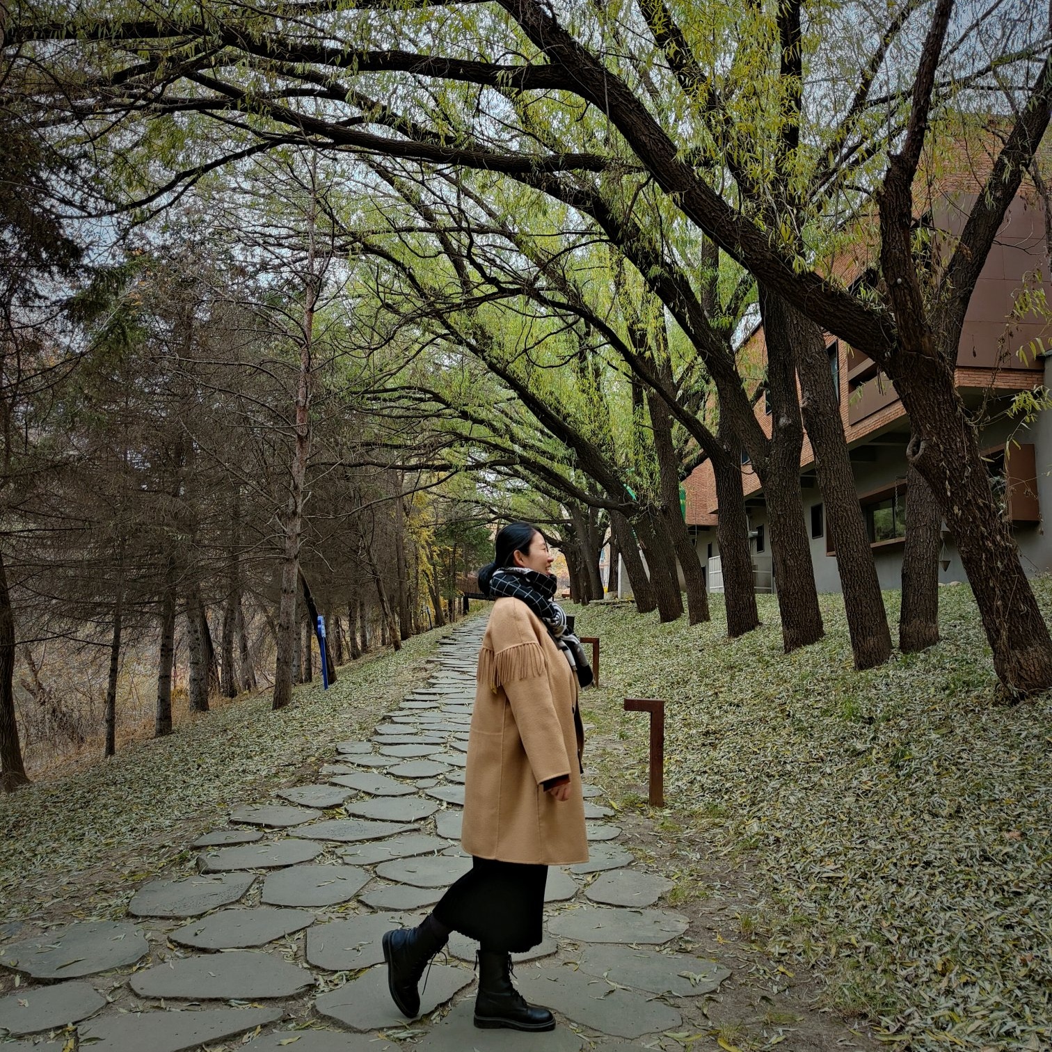 小雅