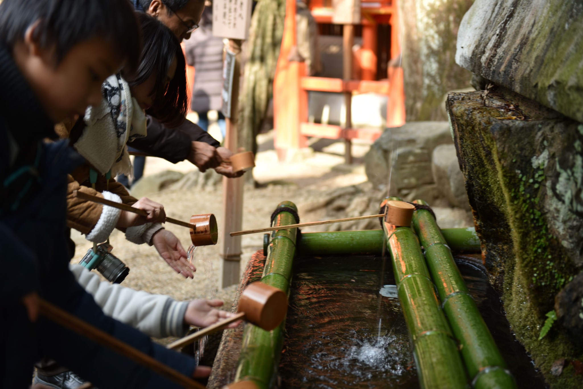 京都自助遊攻略