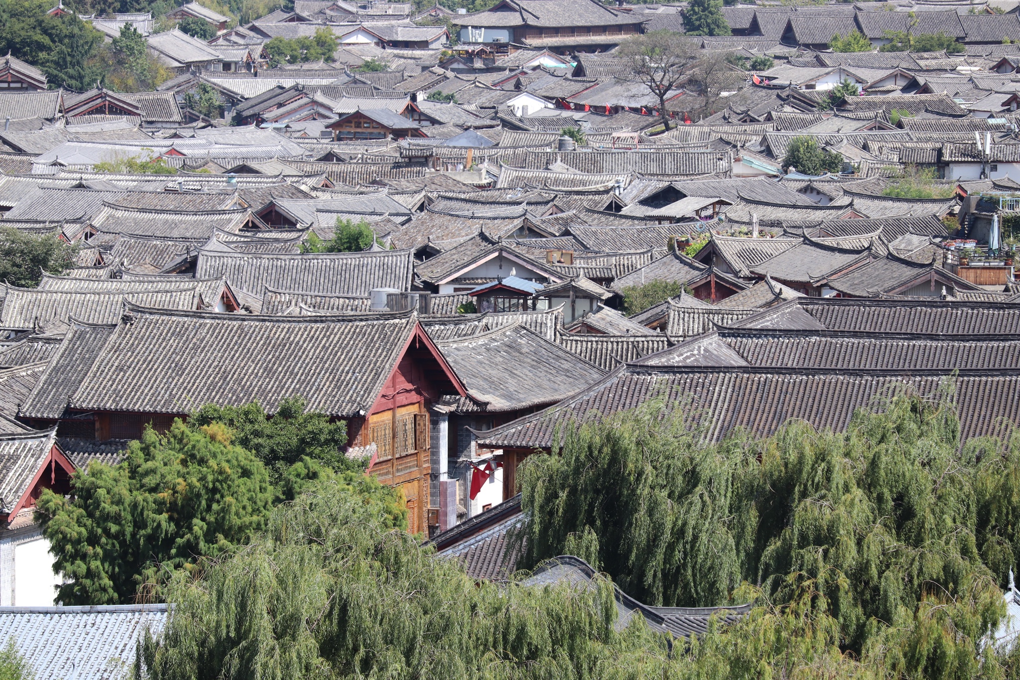 雲南自助遊攻略