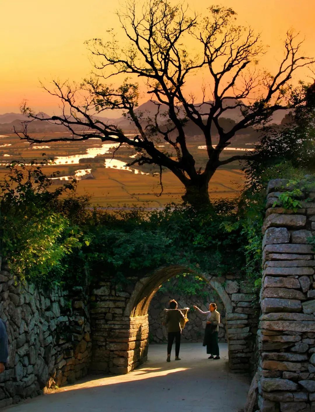 推荐旅游打卡景点及美食总览