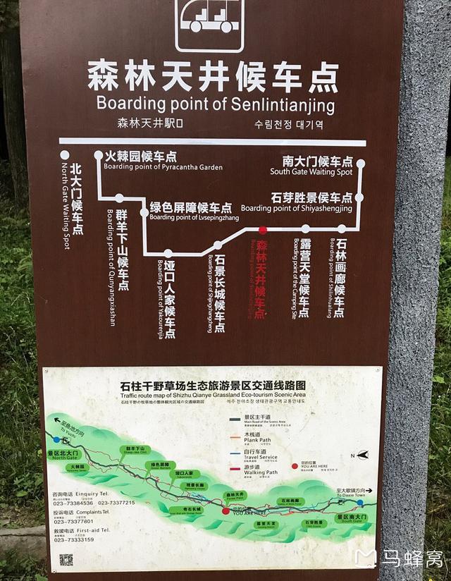 千野草场露营可以用卡式炉吗?