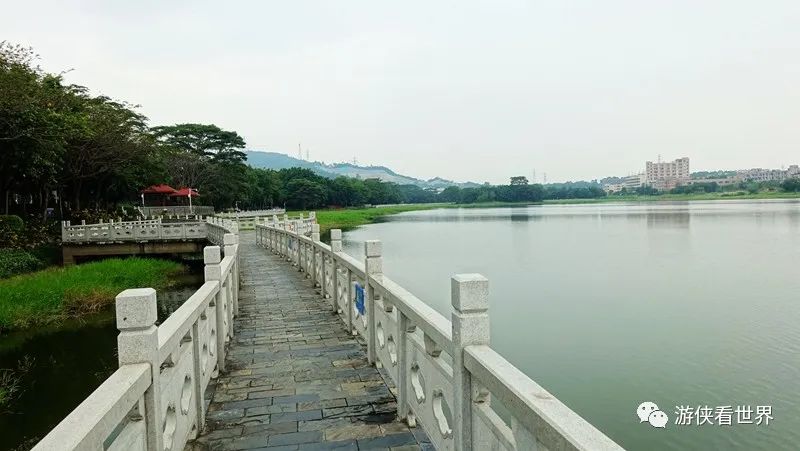 深圳石巖湖綠道環湖受阻意外偶遇的明湖公園