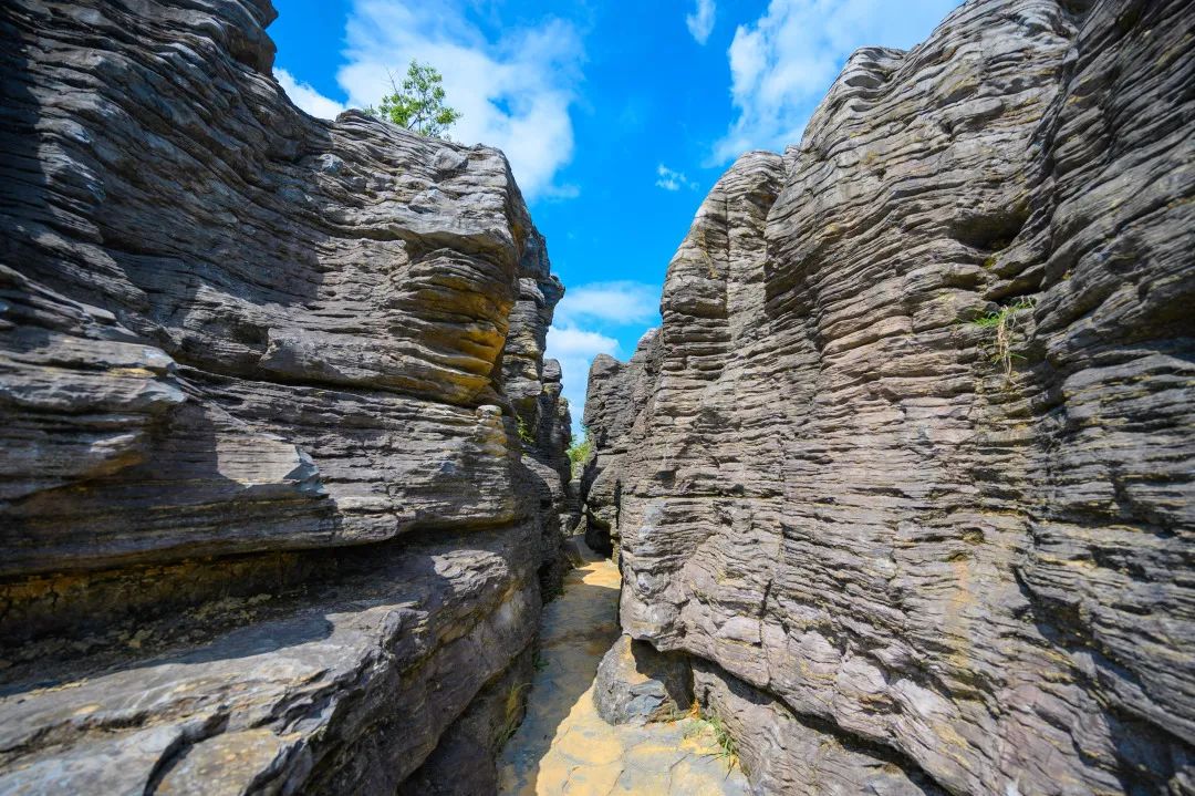 黄山市网红景点西递石林景区了解一下这里有风车,郁金香,儿童乐园.