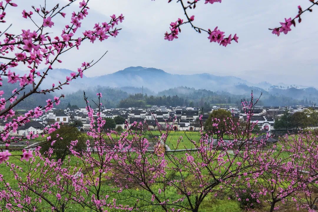 黟县桃花源图片