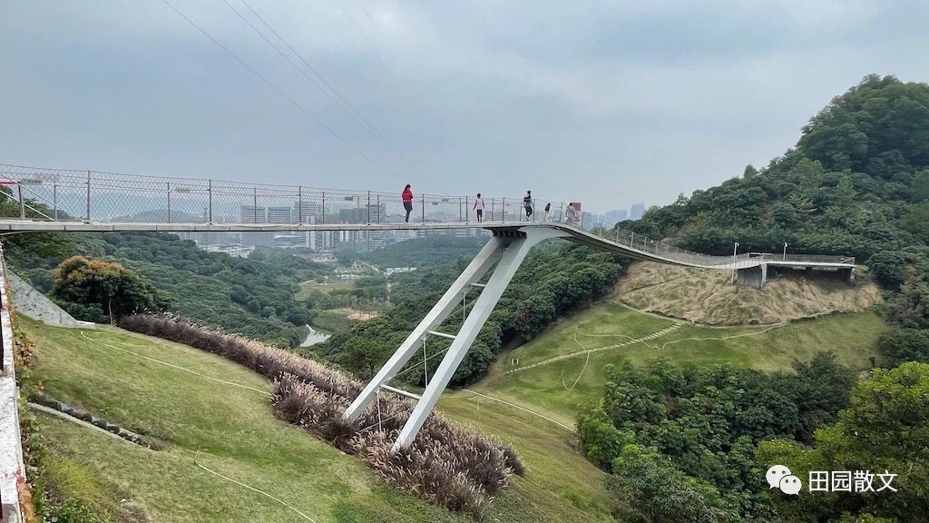 有錢就是任性行走深圳綠道