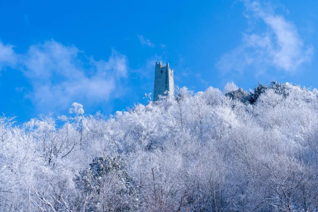 连降春雪的九皇山,雪景,雾凇与云海并行,美得宛如童话天地间茫茫一片
