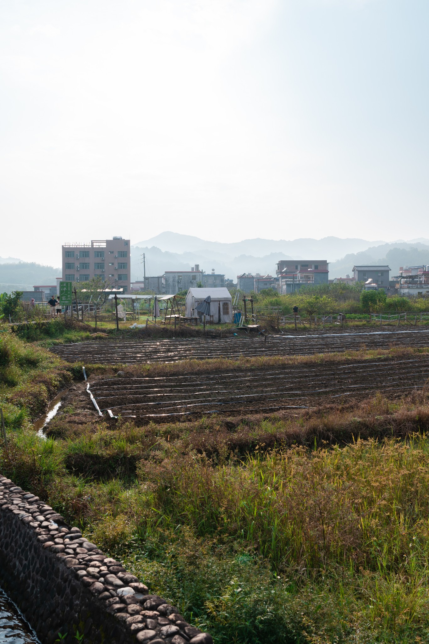 廣州自助遊攻略