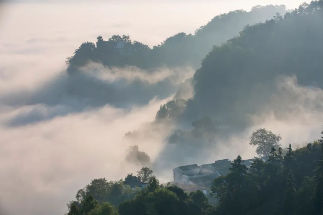 四季黃山相約春天煙雨中的齊雲山醉是人間仙境