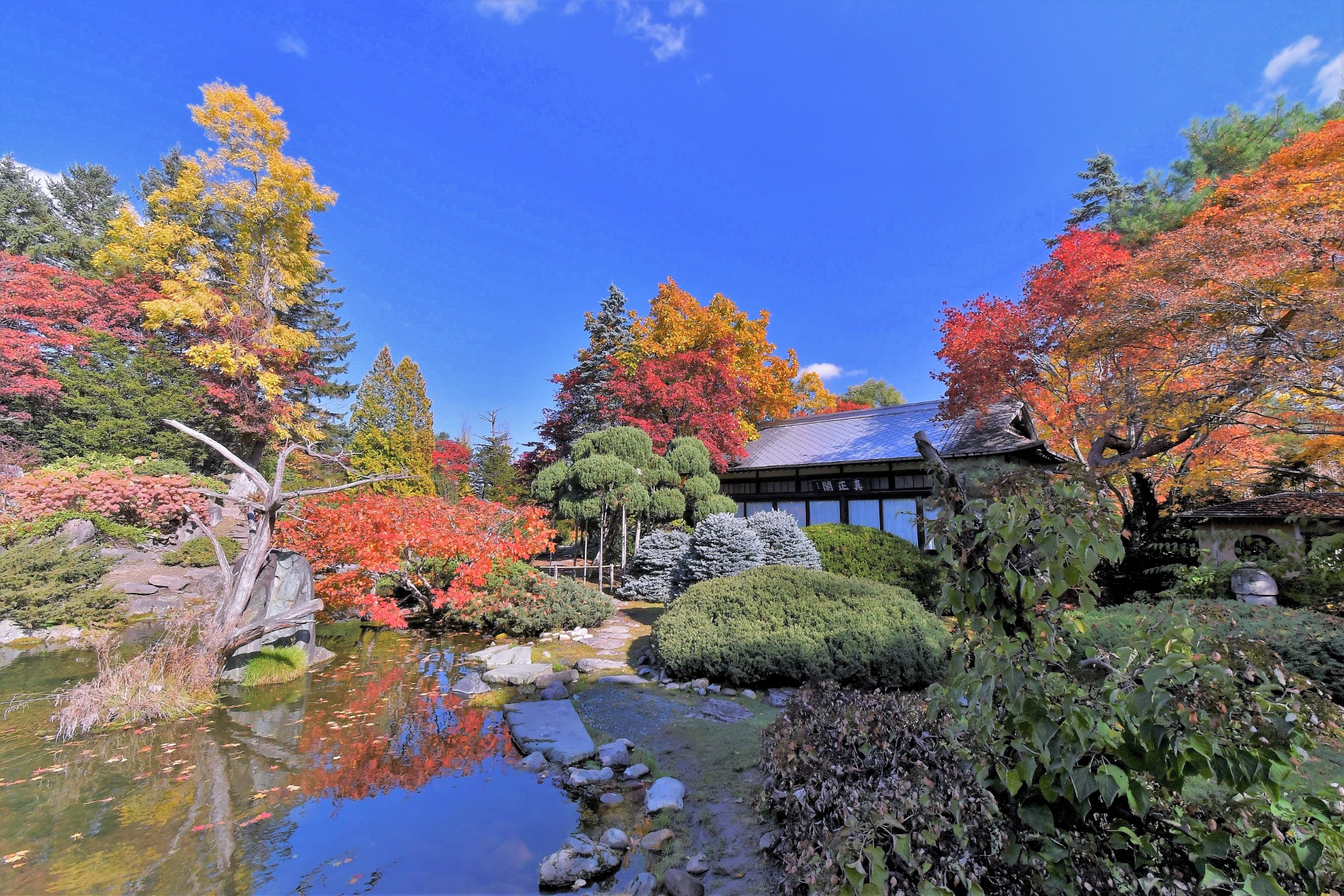 用五感体会秋天 北海道花园街道 上的红叶与美食 手机马蜂窝