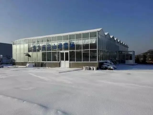 胶州青岛莲花山滑雪场图片