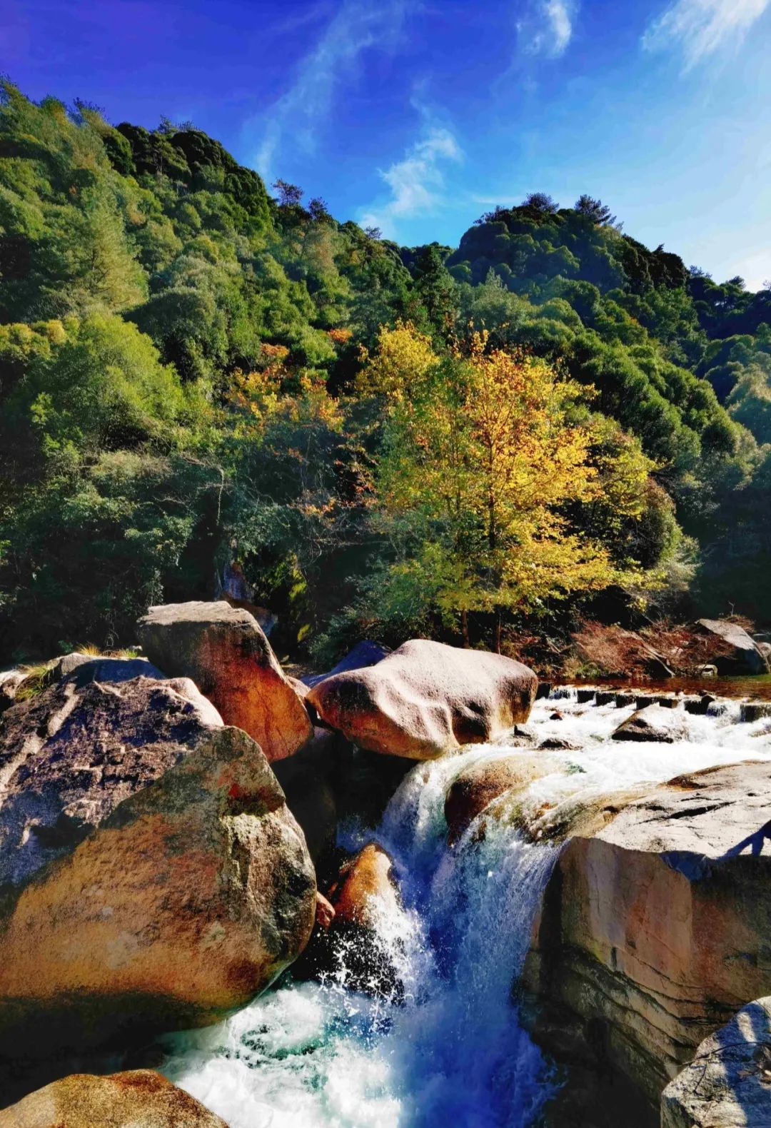 黄山芙蓉谷景区图片