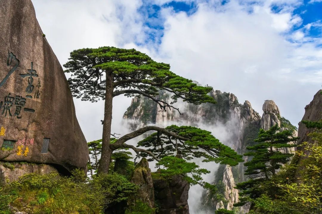 创意黄山 美在徽州——黄山市100网红打卡点之一 