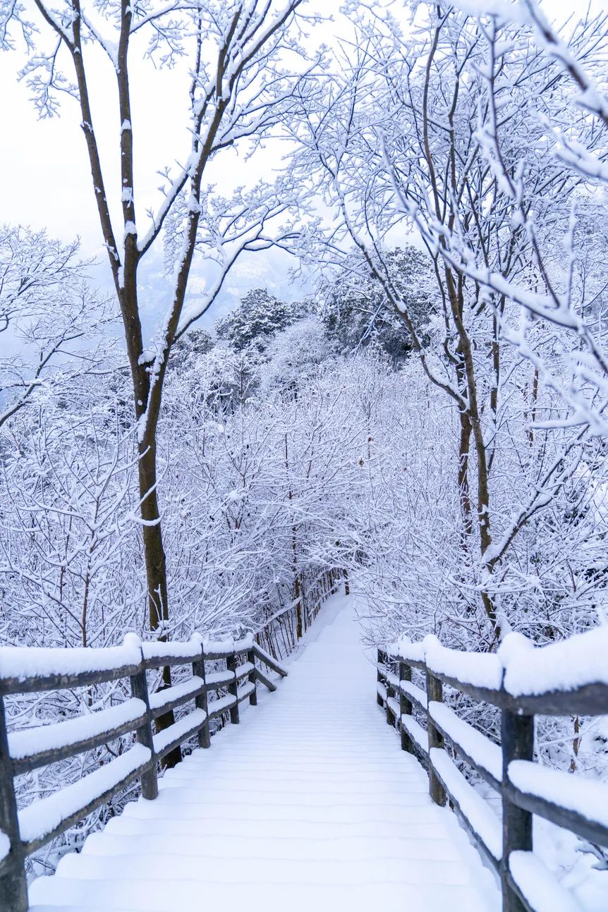 连降春雪的九皇山,雪景,雾凇与云海并行,美得宛如童话天地间茫茫一片