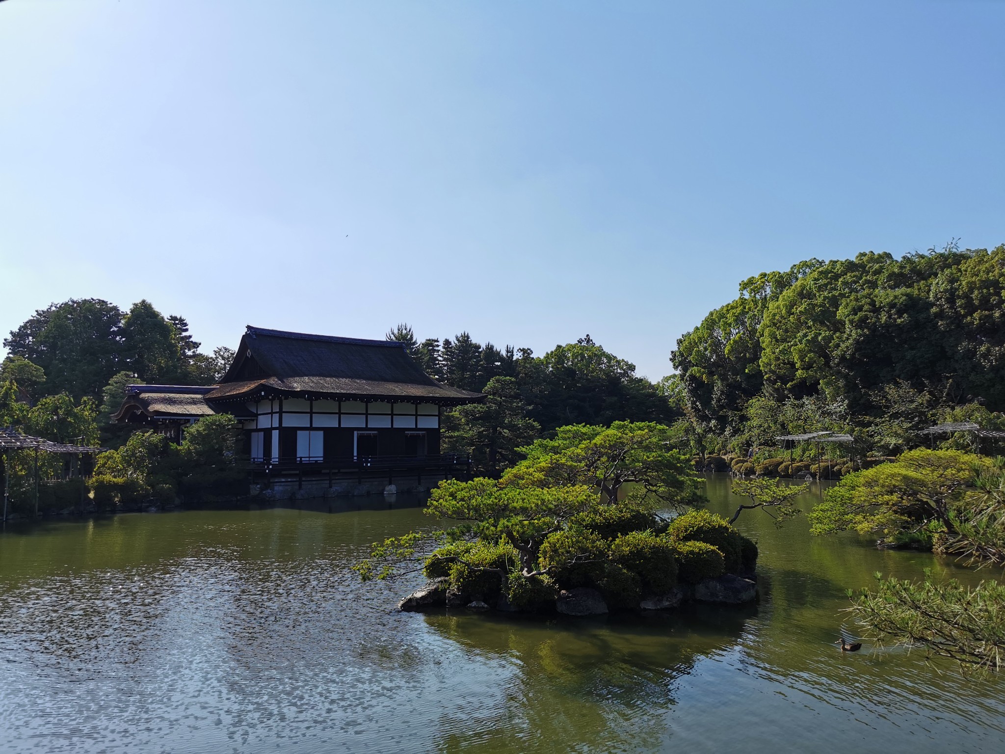 京都自助遊攻略