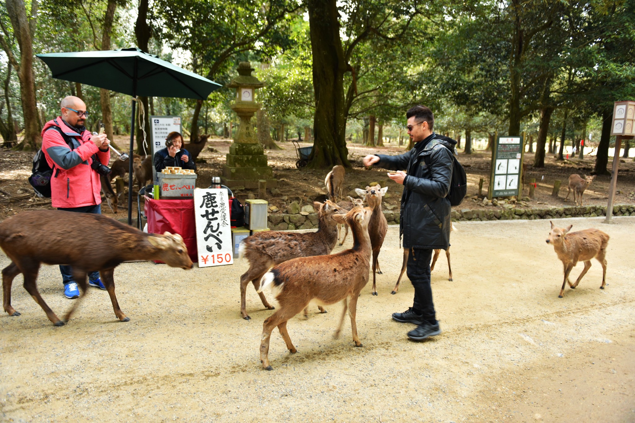 京都自助遊攻略