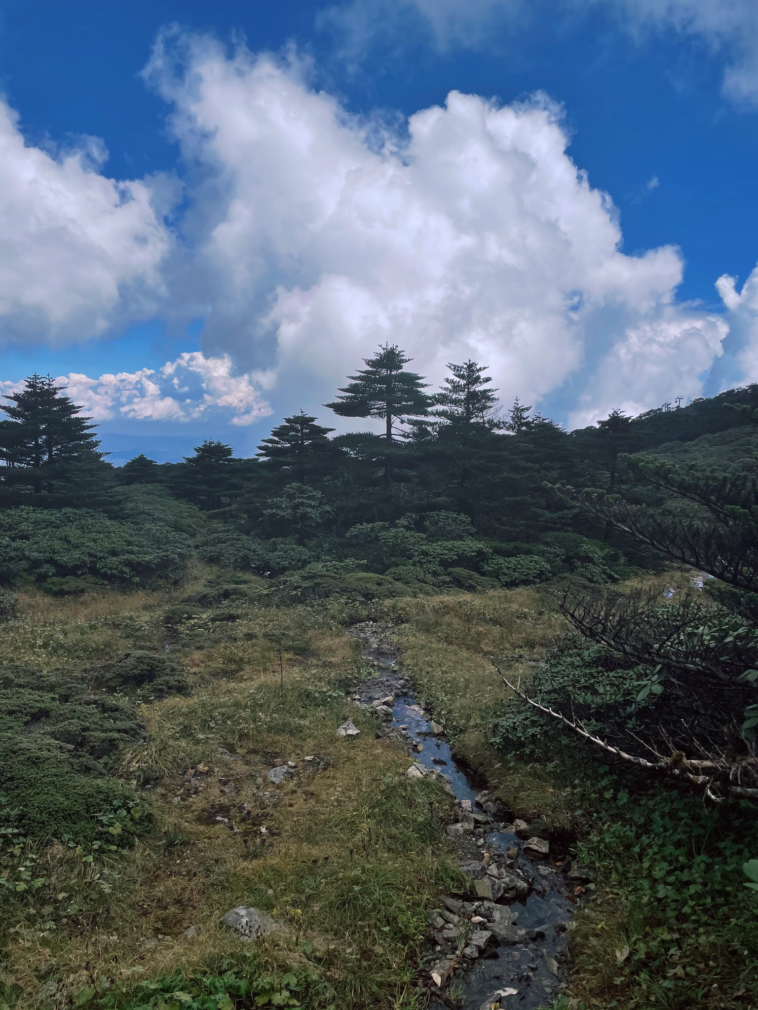 雲南自助遊攻略