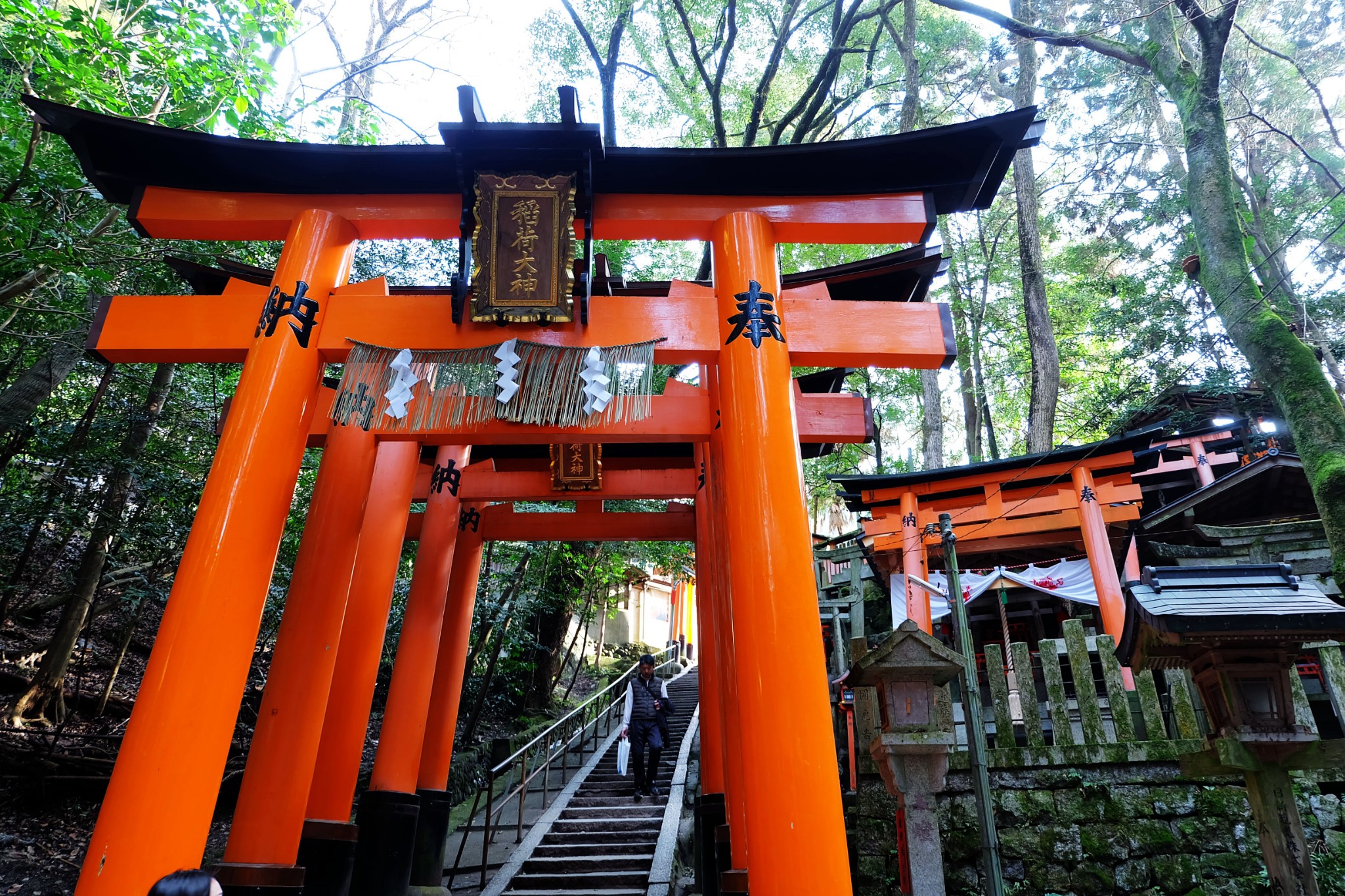 京都自助遊攻略