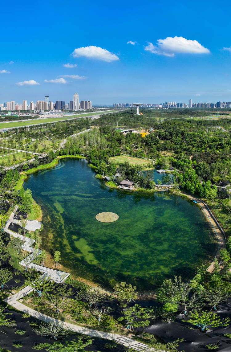 巢湖湖滨国家湿地公园圩美·磨滩end素材来源丨安徽第一城区包河区
