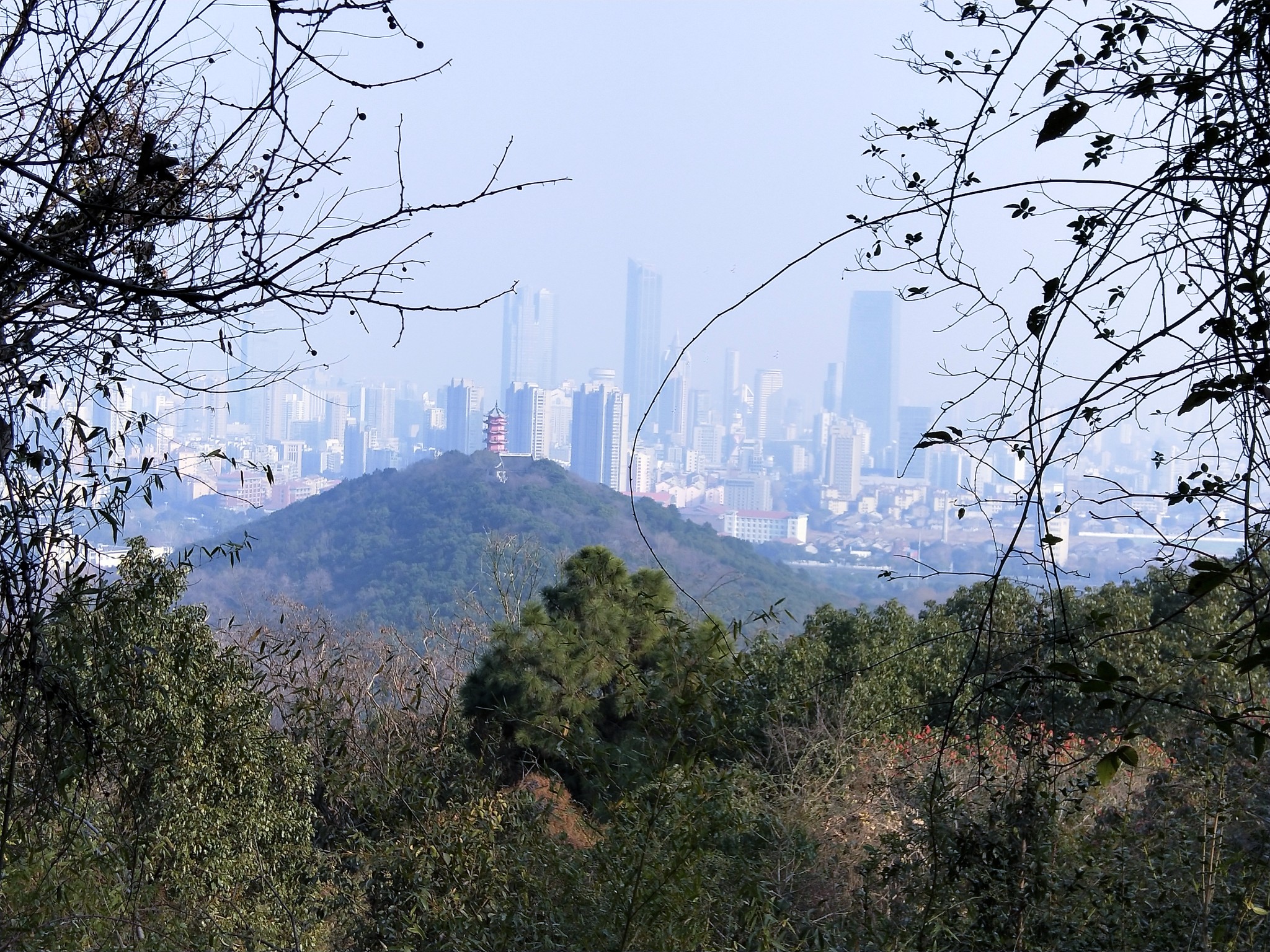 惠山森林公園_遊記