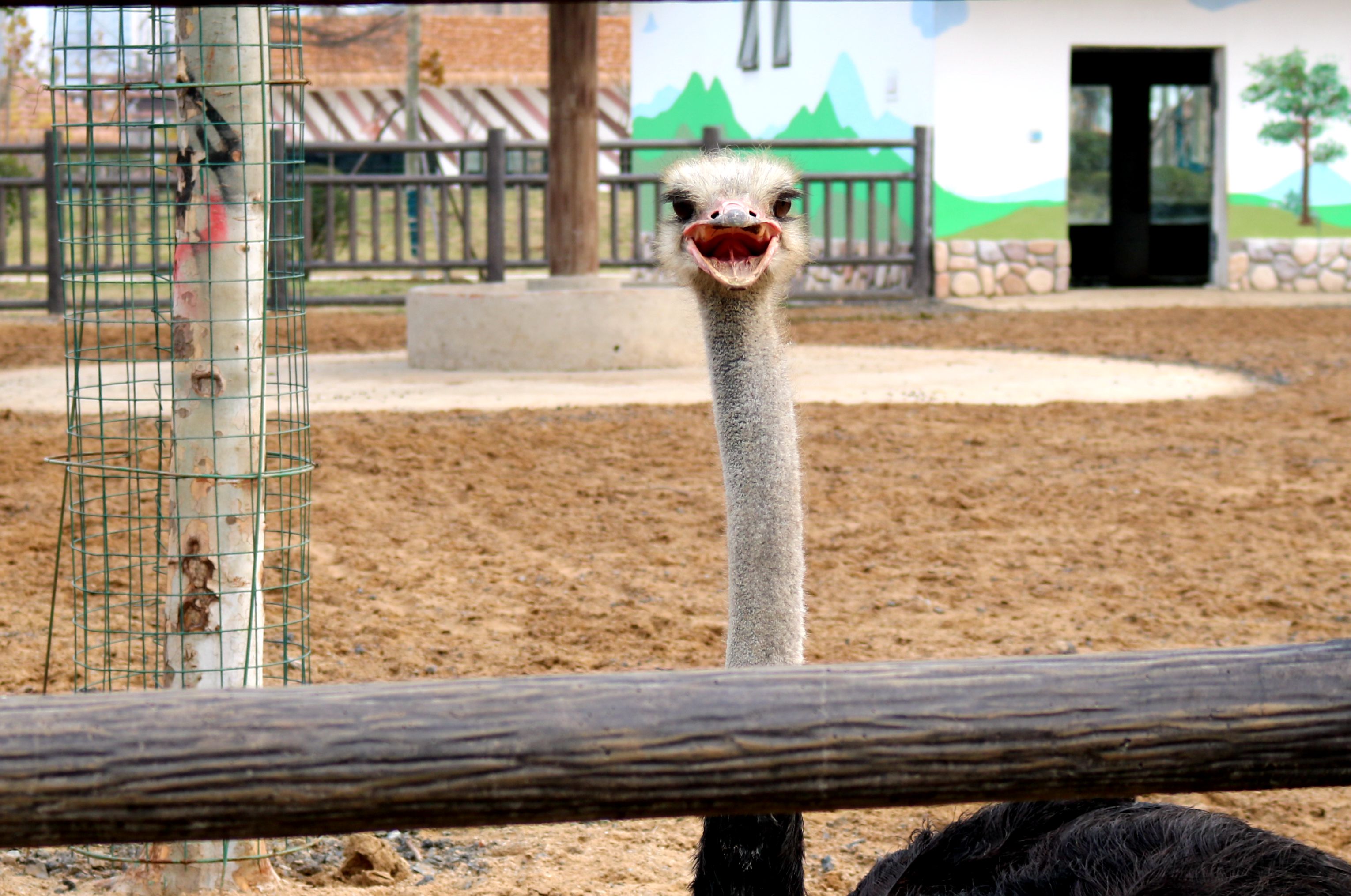 阜阳 临泉魔幻动物园电子门票,马蜂窝自由行 - 马蜂窝自由行