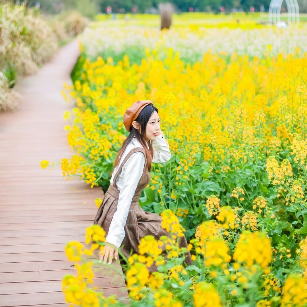 小思思的分享Fly