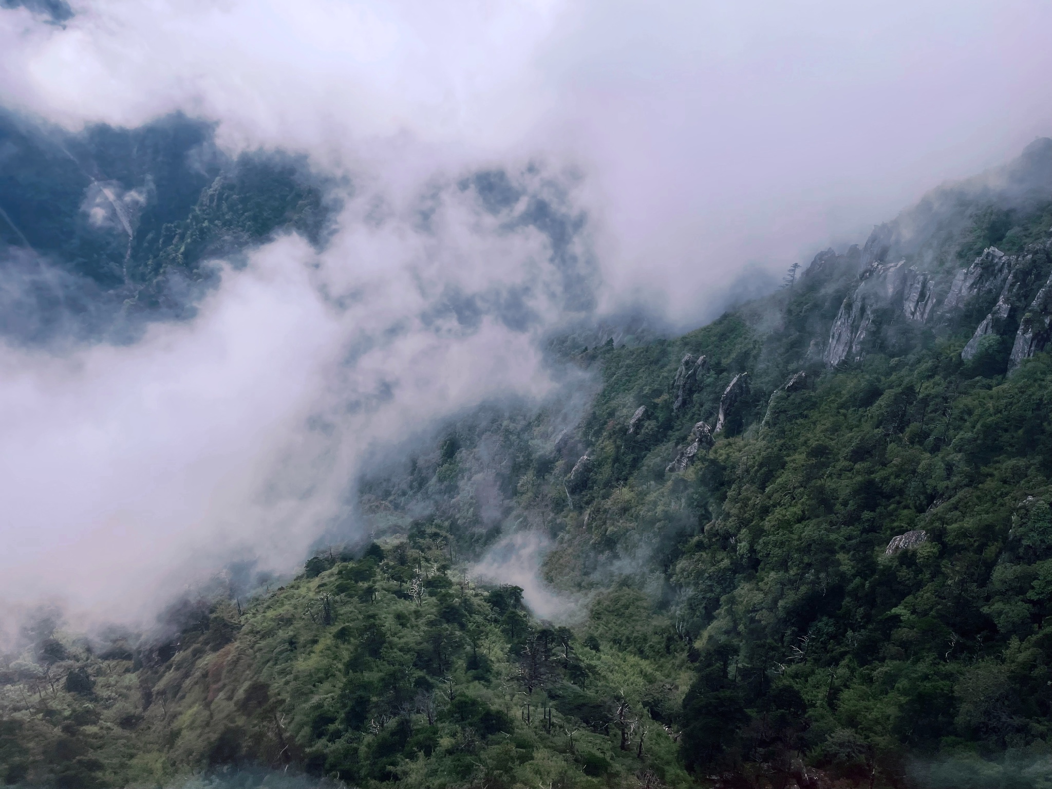 雲南自助遊攻略