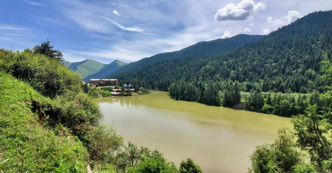 卓尼旅游攻略 - 马蜂窝