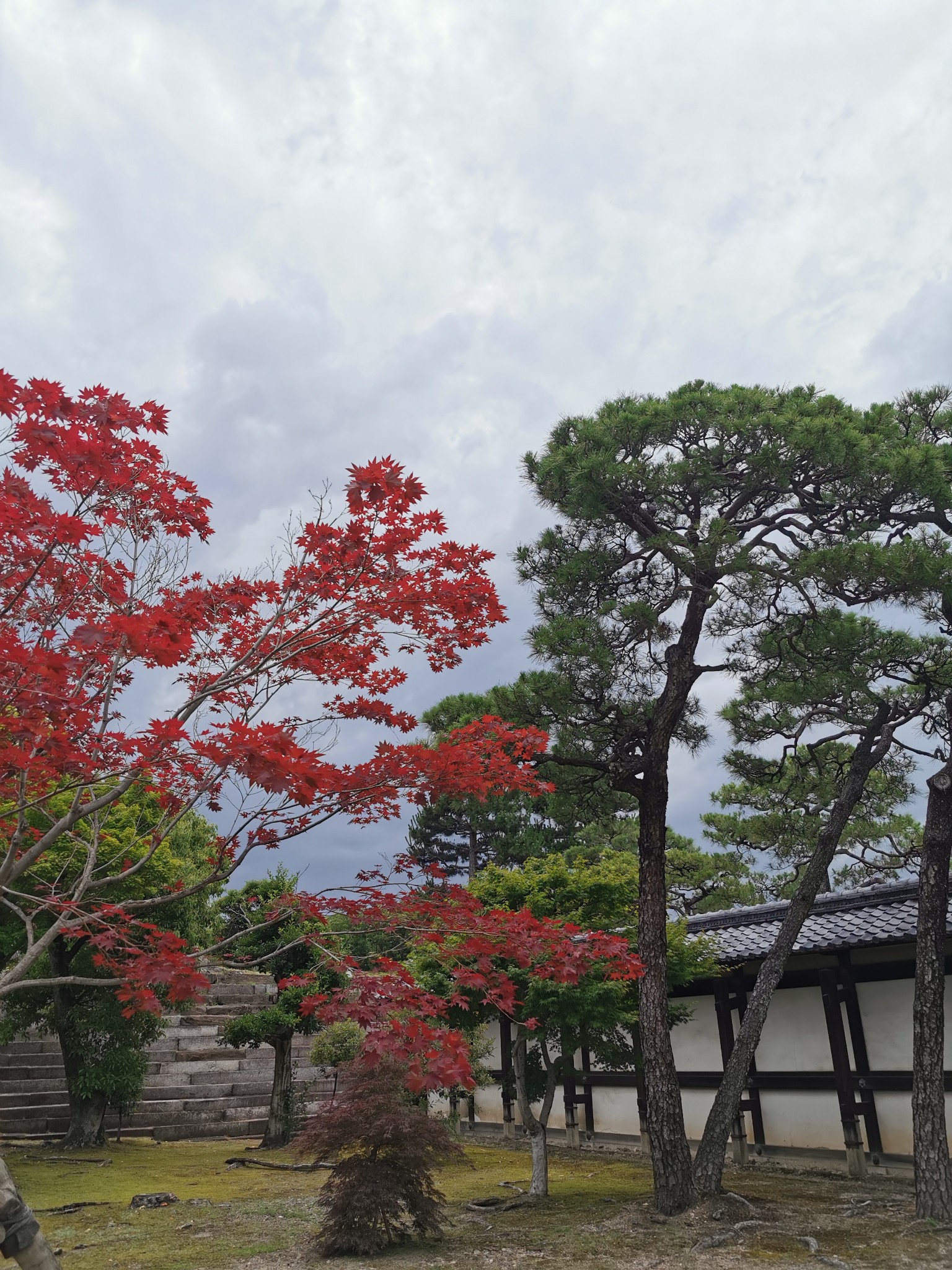 京都自助遊攻略