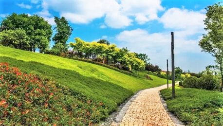 重庆两江龙湾森林公园攻略,两江龙湾森林公园门票_地址,两江龙湾森林