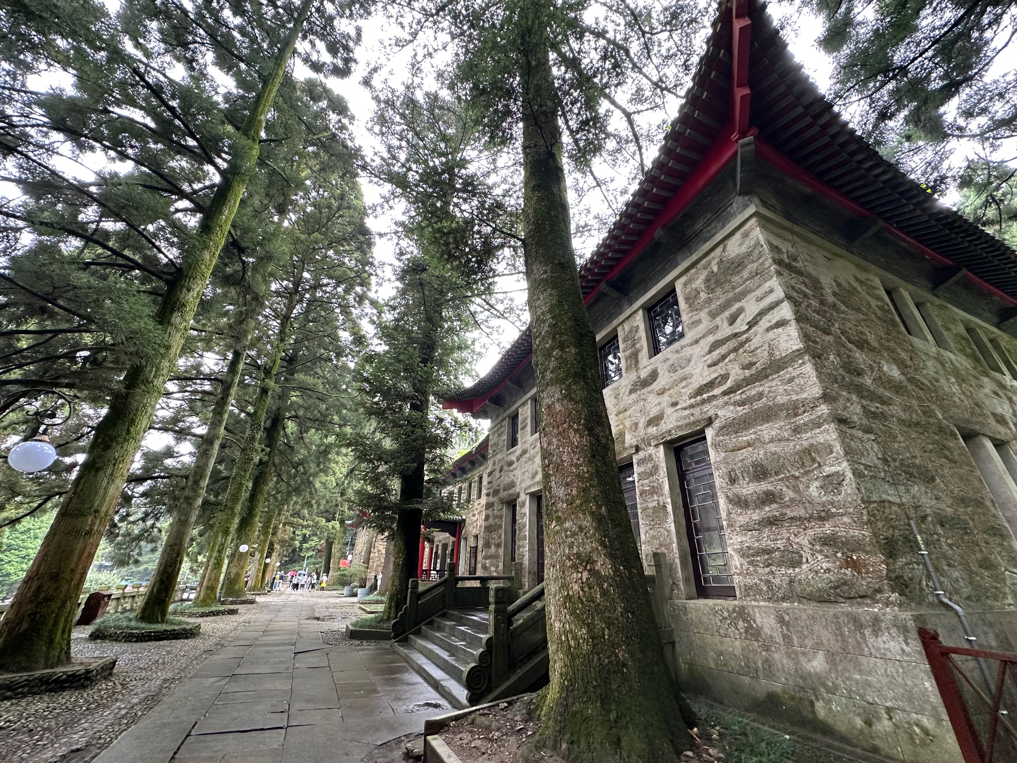 母女两人,14天二省四城休闲游~南昌-庐山-婺源-黄山,游客想知道的都在