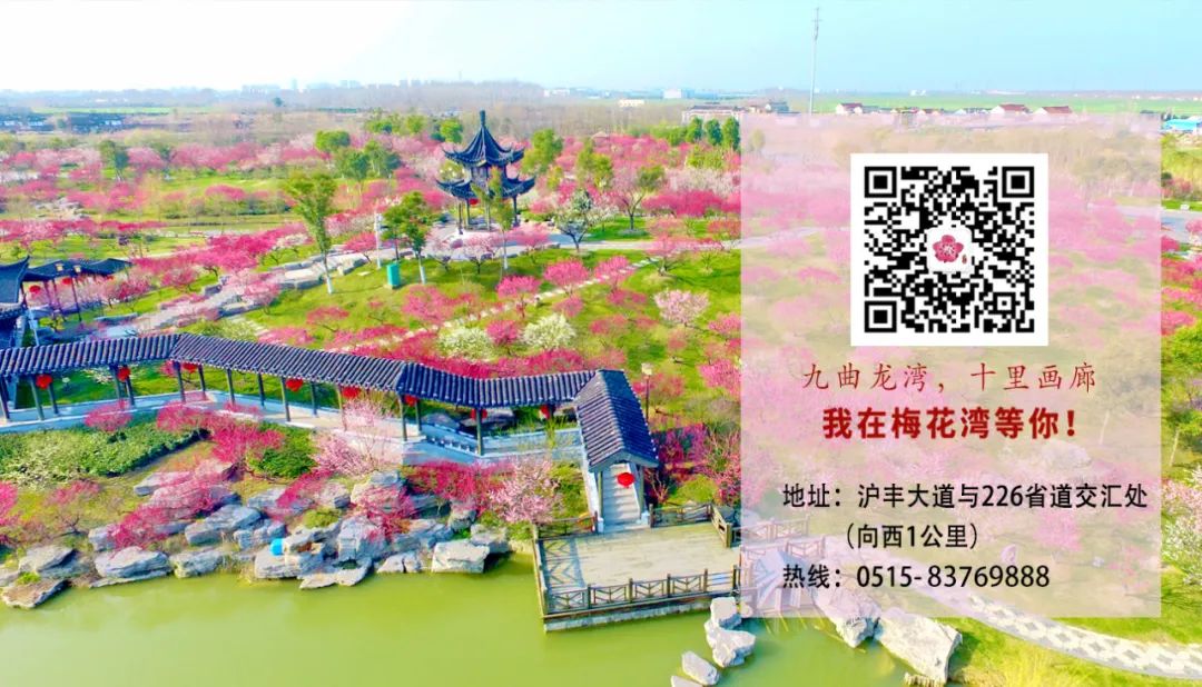 八天长假就在盐城超多精彩