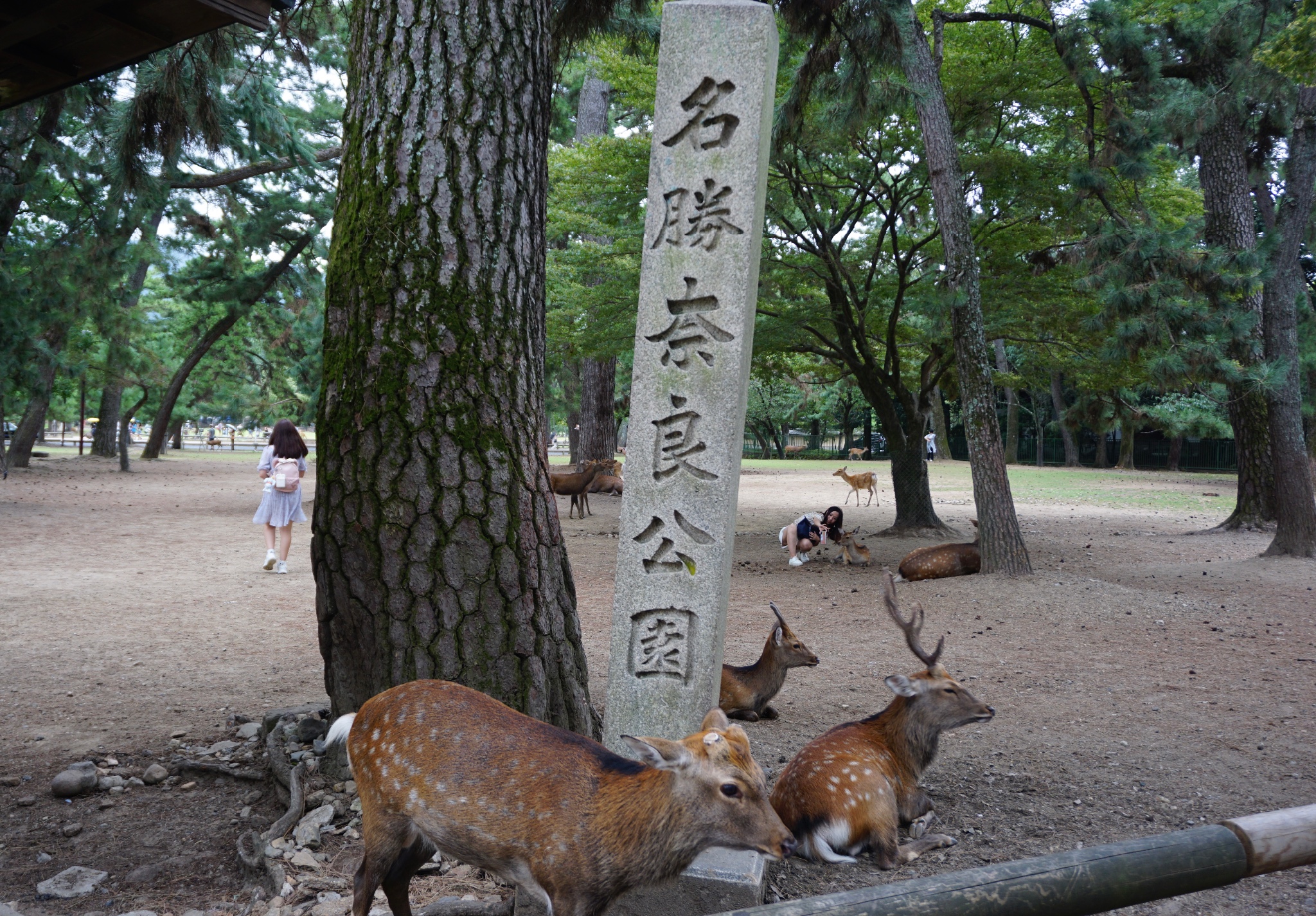 日本自助遊攻略