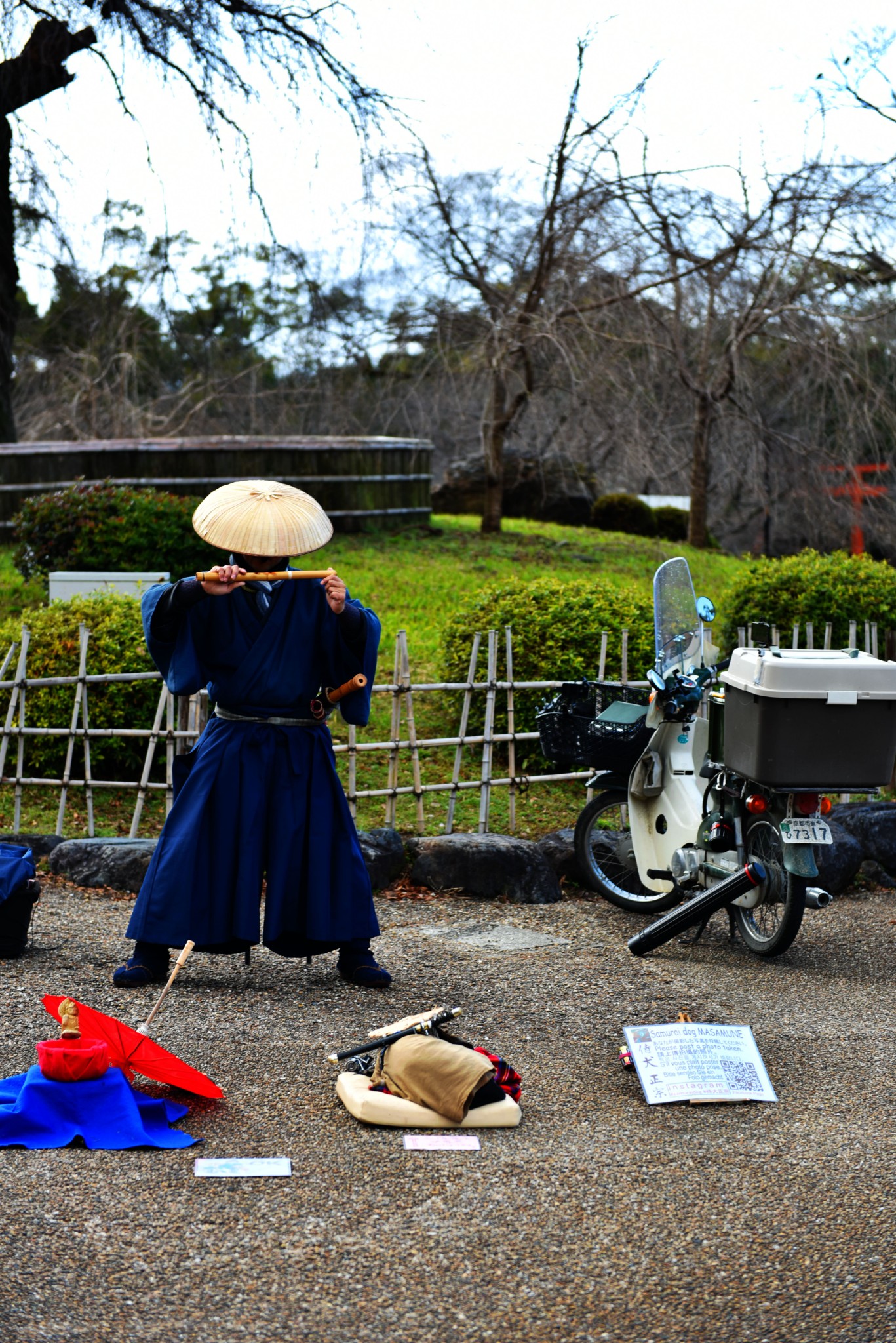 京都自助遊攻略