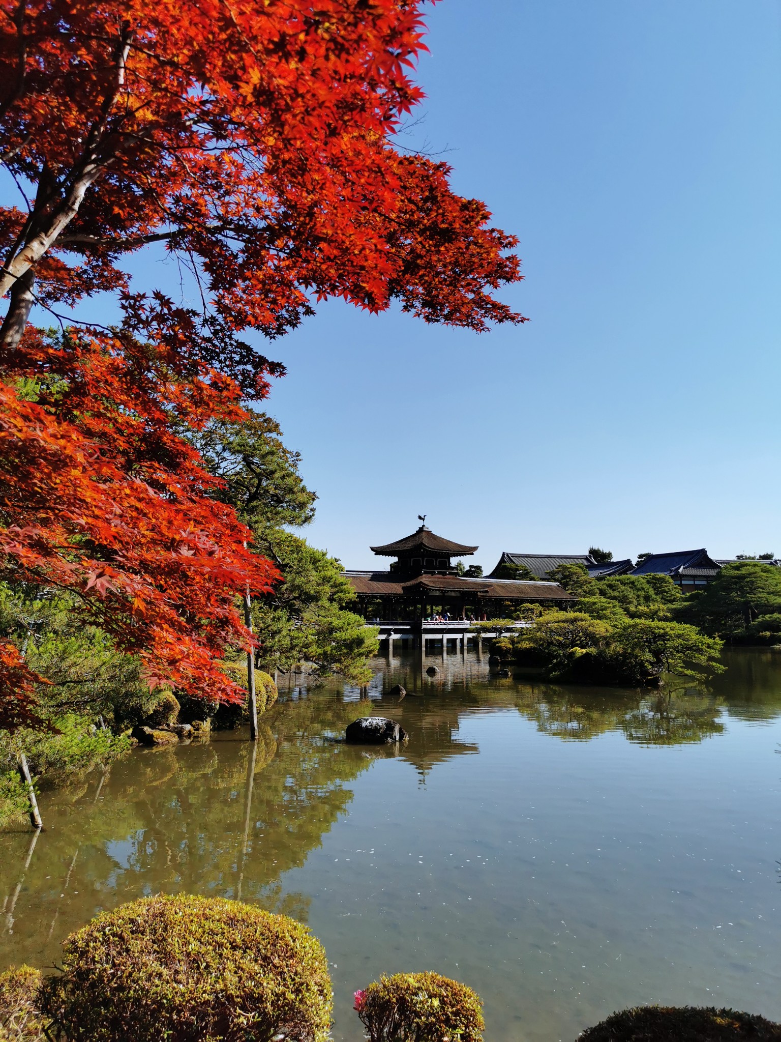 京都自助遊攻略