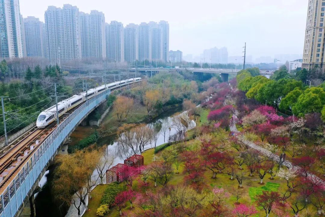 天鹅湖公园天鹅湖原名荷叶地,因湖面呈天鹅形状得名.