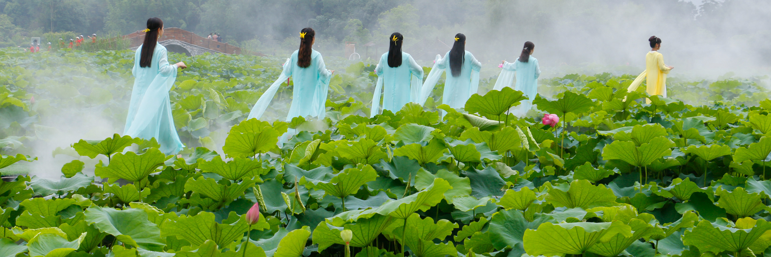 清遠旅遊,坐上熱氣球去看百畝荷花,醉美喀斯特英西峰林夕陽!_遊記